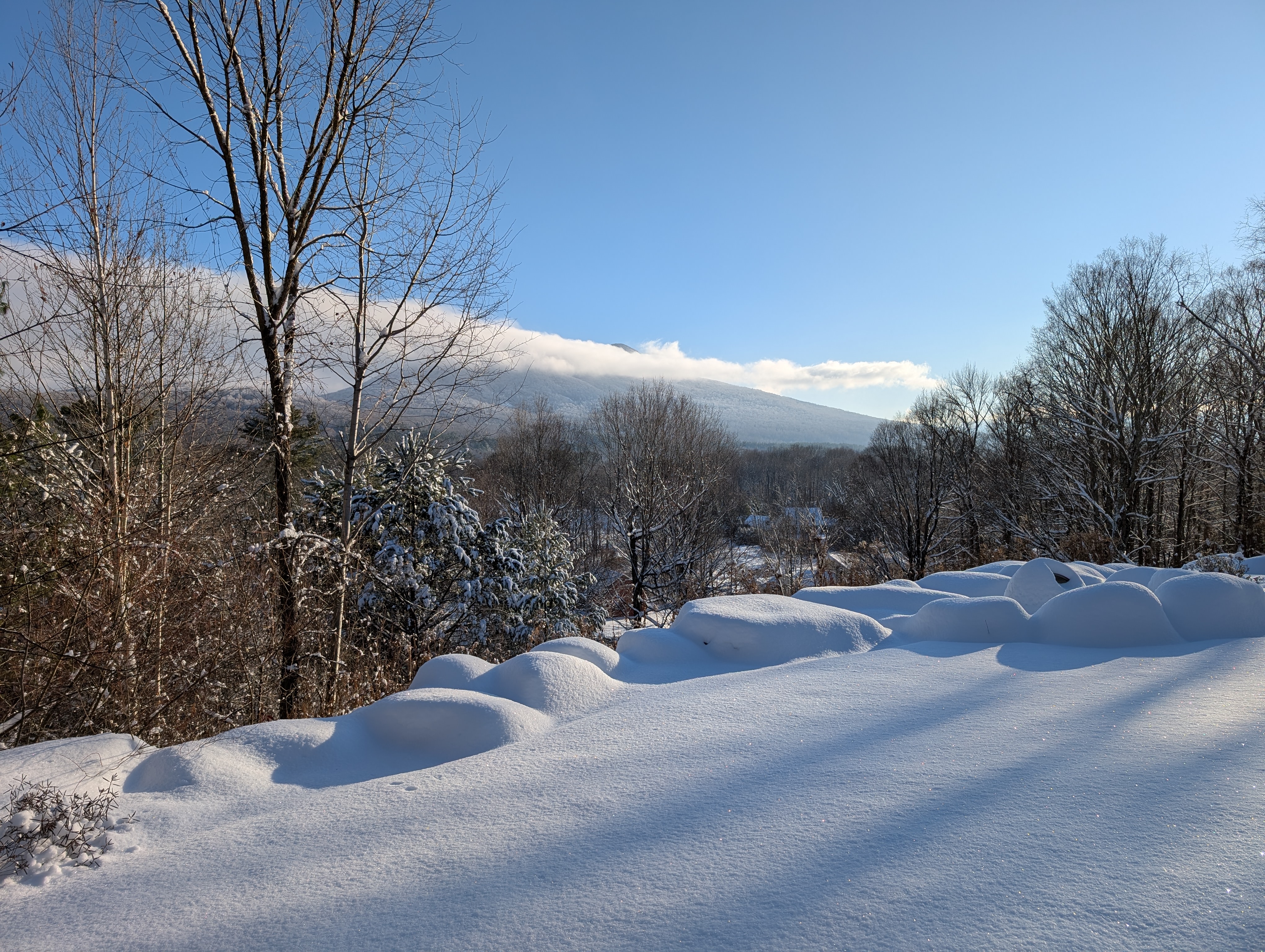 Manchester, VT, later in the sit