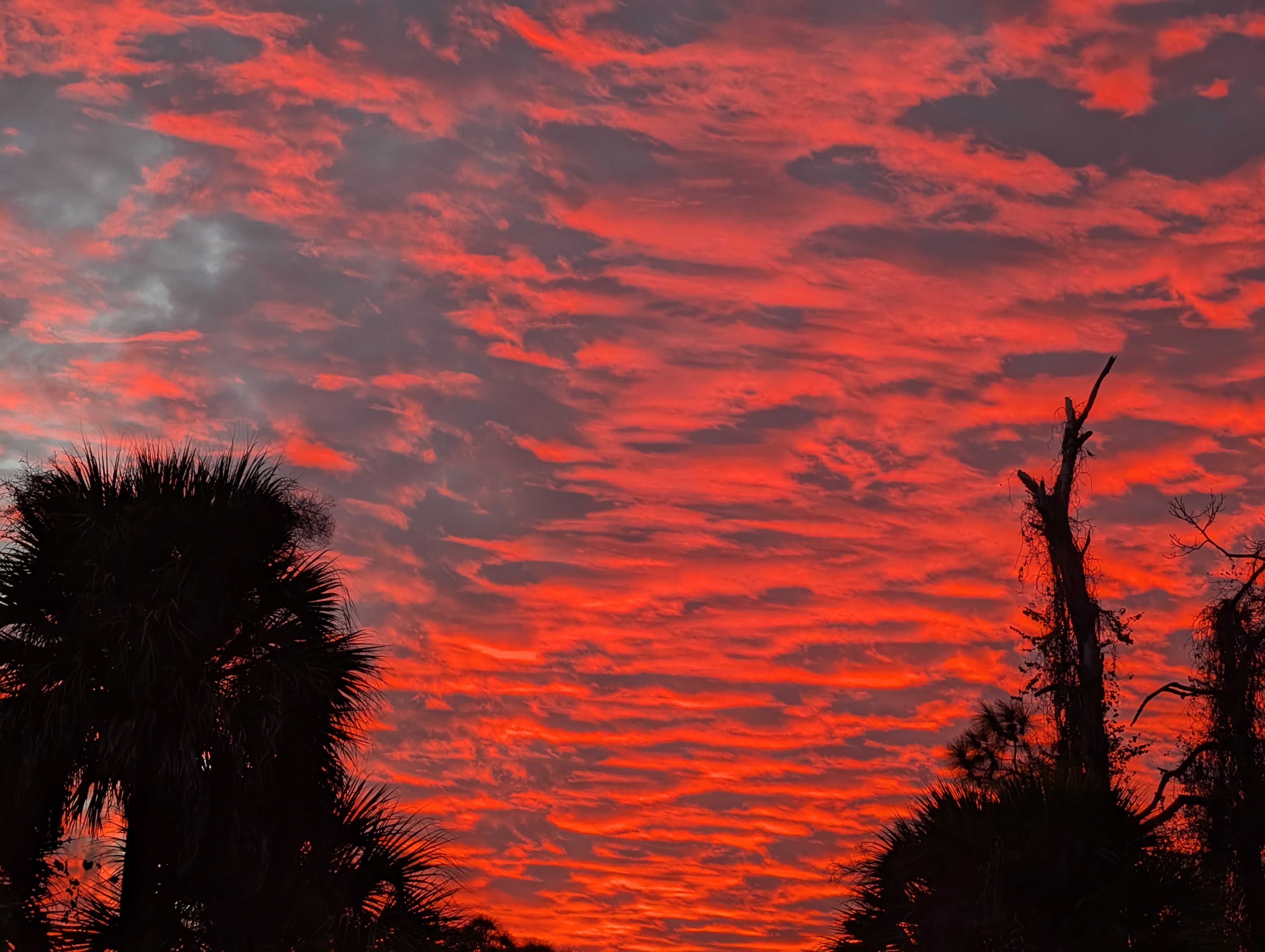 Space Coast, FL