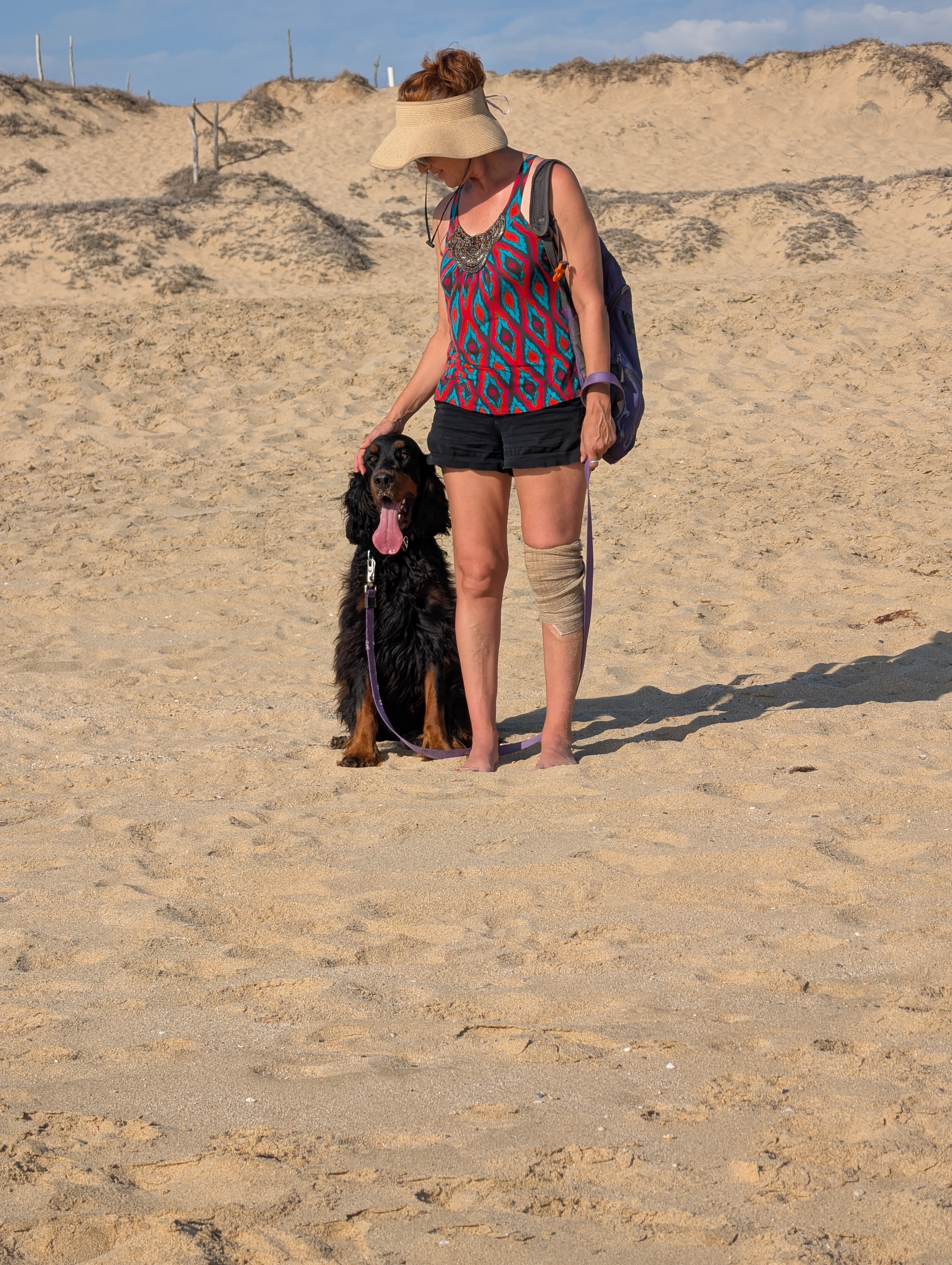 Ruby — a 9 years Gordon Setter Dog